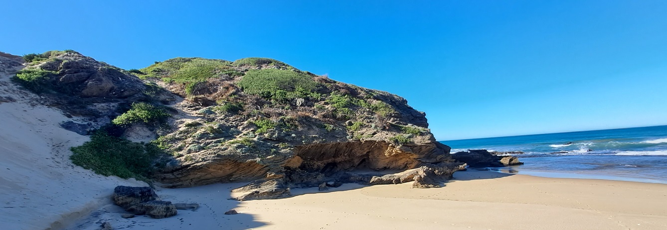 Beach walks